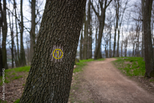Wallpaper Mural Hiking trail sign on a dark tree in the german forest at region Bergstrasse in Hessen, germany . Forest at daylight with path and trees in the background in the spring Torontodigital.ca