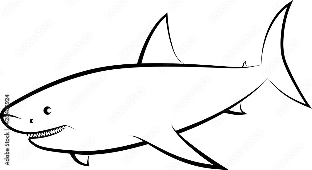Fototapeta premium shark 