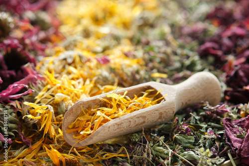 Dried medicinal herbs - echinacea, calendula, wild marjoram, rose petals.  Closeup on wooden scoop of calendula petals. Alternative medicine. photo