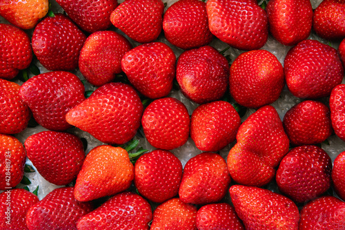 Strawberries background. Food background. Variety of strawberries. Isolated bunch of berries. Copy space.