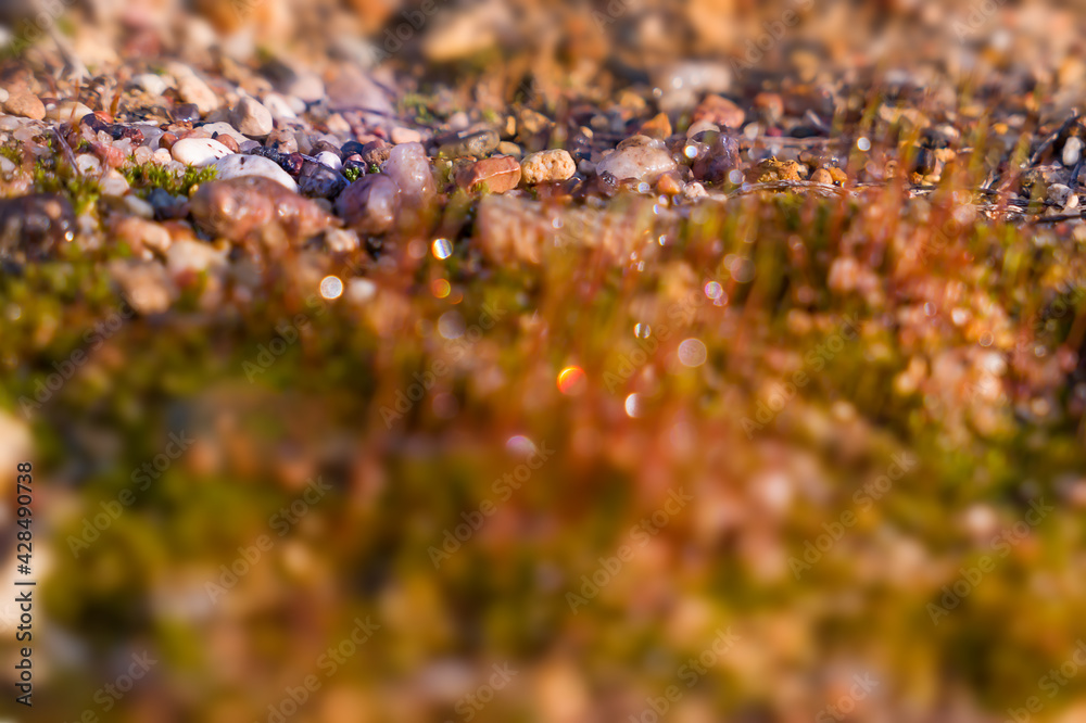 Small pebbles and moss - natural background Small pebbles and moss - natural background