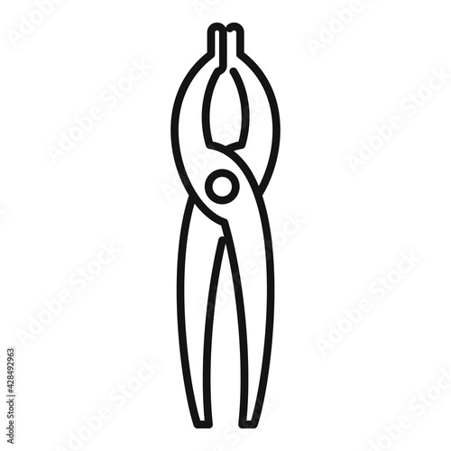 Blacksmith pliers icon, outline style