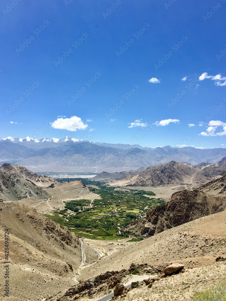 Scenic landscape, colorful autumn poplar with mountains background at Alchi village in Leh, Ladakh, Jammu and Kashmir, India, asiaB