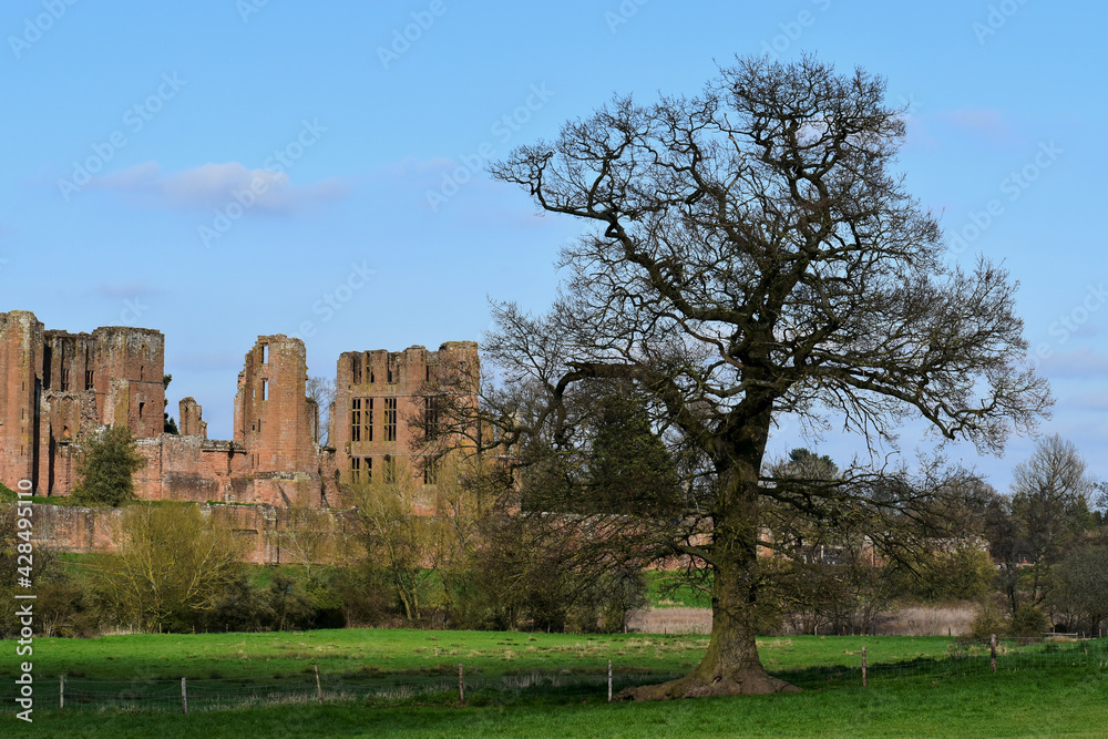 Landscape with the ruins of Kenilworth castle and walls, Kenilworth, England, UK