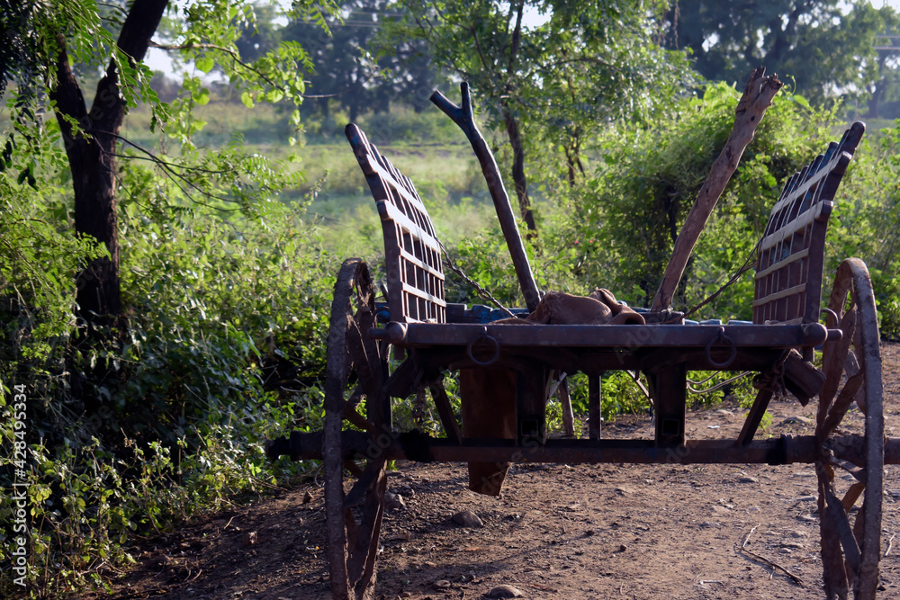 Some Photos of Old indian wooden bullock cart in green farm. Vintage style wooden bullock cart in rusty brown colour with pleasant sky Some Photos of Old indian wooden bullock cart in green farm. Vintage style wooden bullock cart in rusty brown colour with pleasant sky