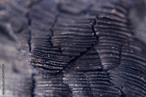Burnt wood textured background with macro.