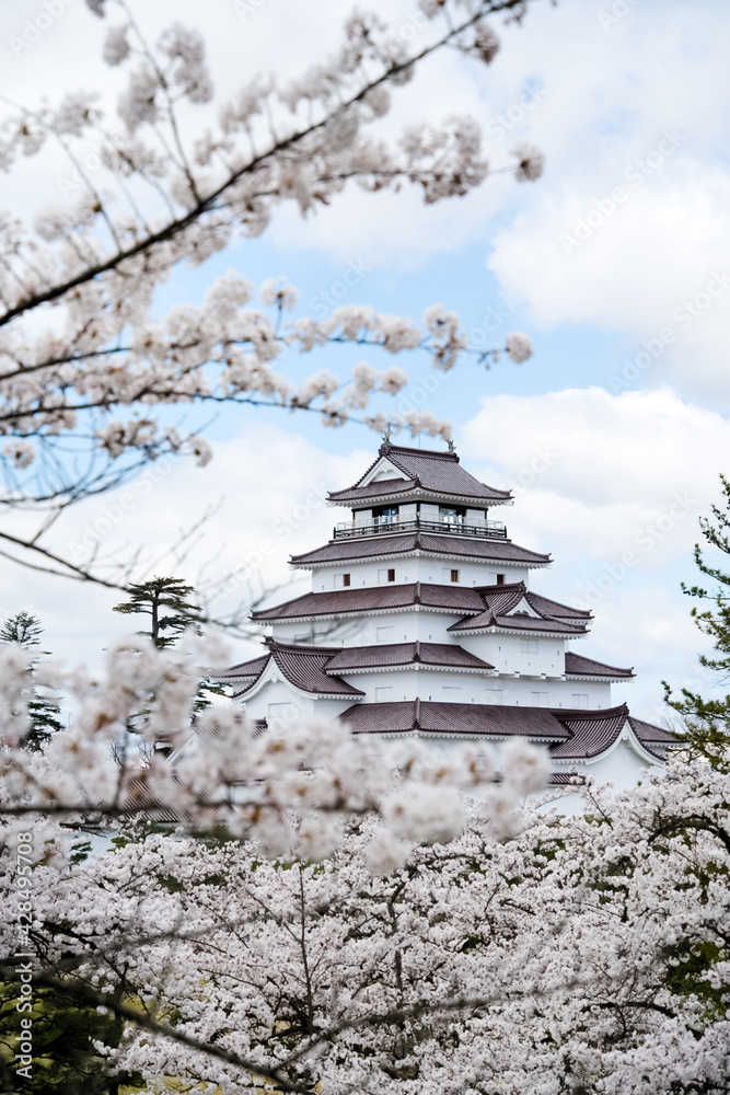 満開の桜と会津若松鶴ヶ城 満開の桜と会津若松鶴ヶ城