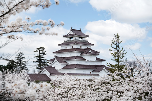 満開の桜と会津若松鶴ヶ城