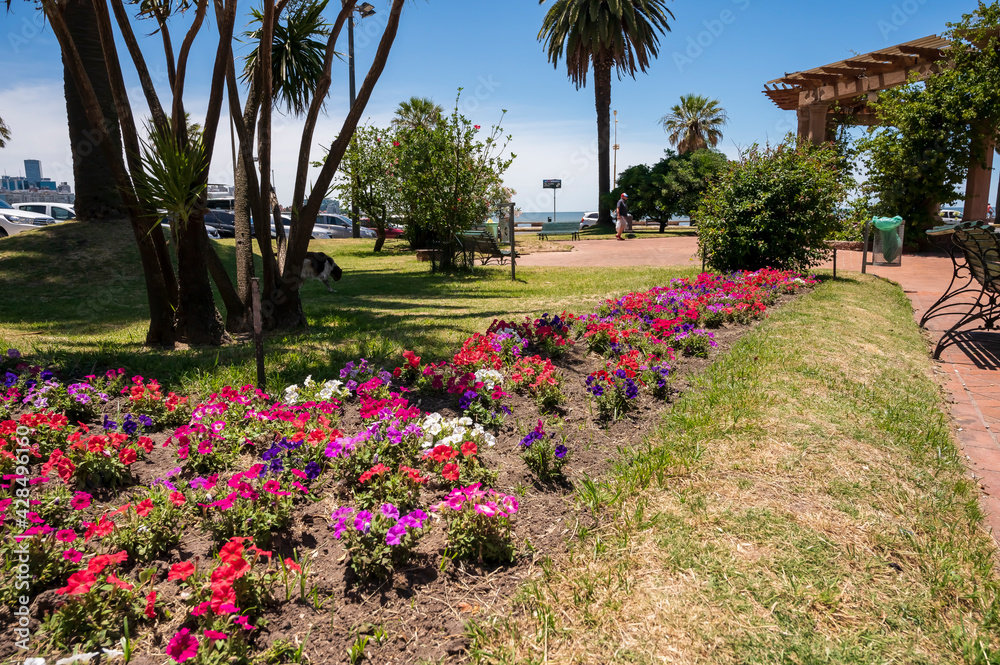 Plaza Tomás Gomensoro - Montevideo (Uruguay)