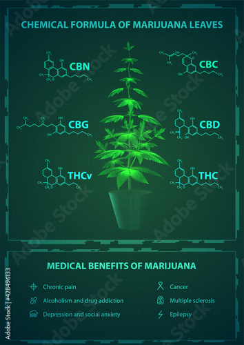 Medical benefits and chemical formulas of marijuana, green poster with digital marijuana bush with chemical formulas of natural cannabinoids and infographic with Medical benefits