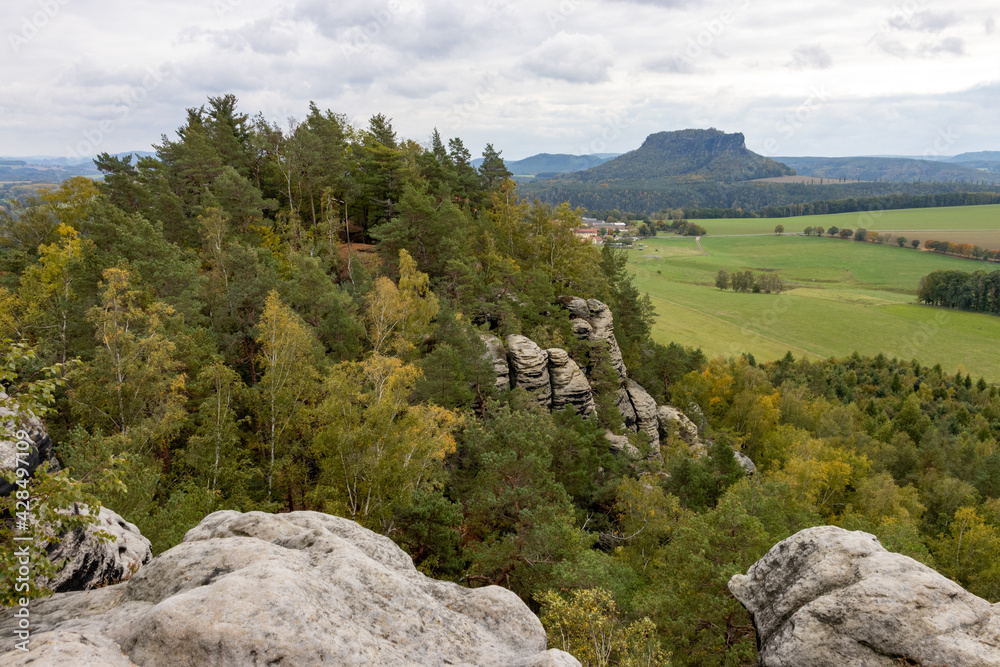 Fototapeta premium Felsen in der Sächsischen Schweiz