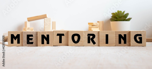 Mentoring - word from wooden blocks with letters, help and advice mentoring concept. photo