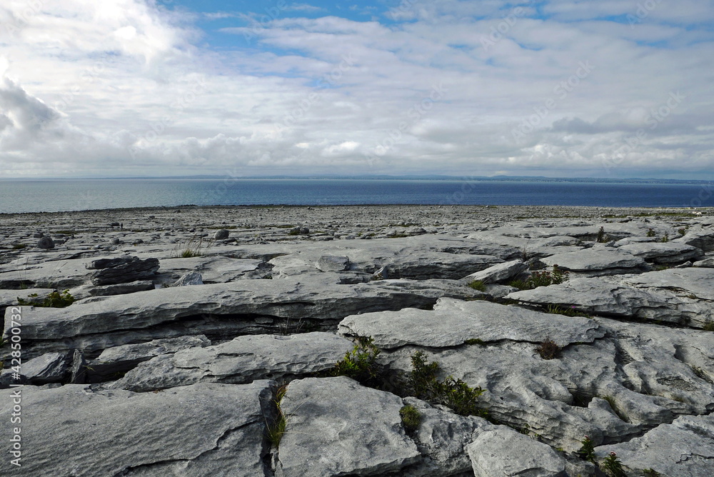 Burren/County Clare, Irland 