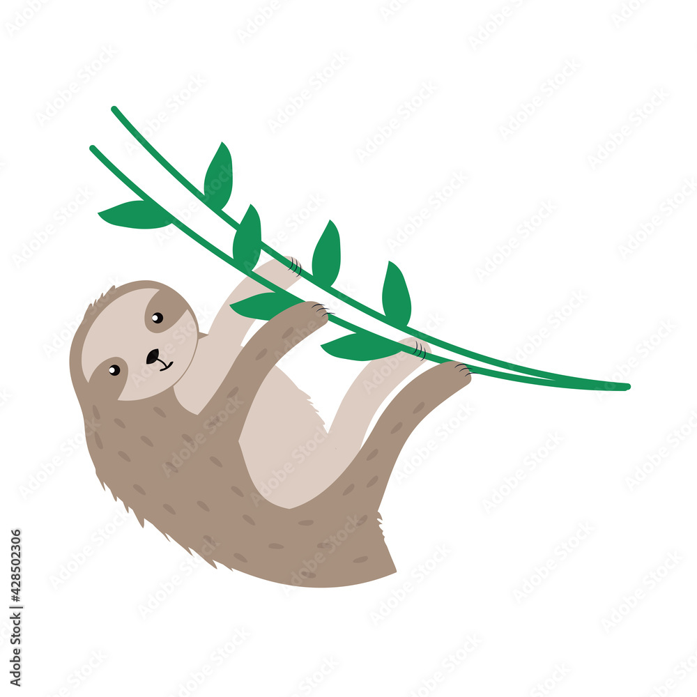 Fototapeta premium sloth exotic animal