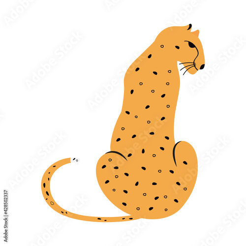 leopard feline exotic