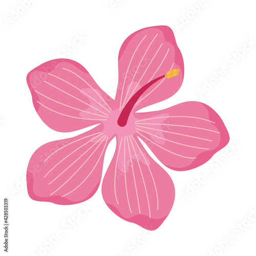 tropical pink flower