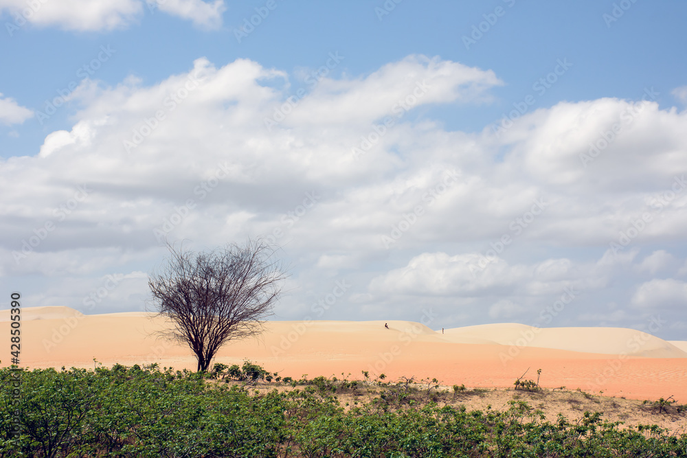 Deserto de areia colorida