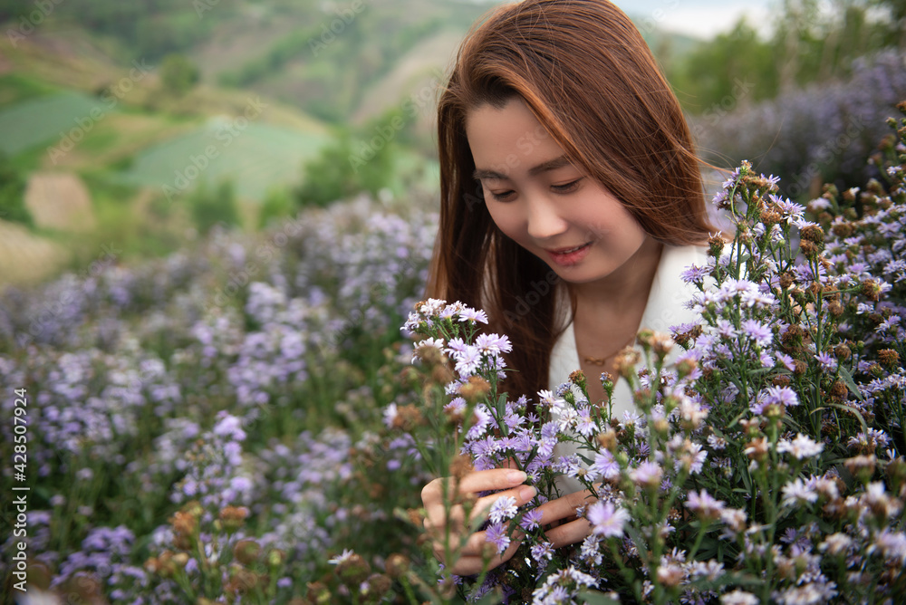young attractive beautiful happy asian woman with white dress and soft touch purple aster margaret flower field, Travel lifestyle concept in winter.Travel and Lifestyle Concept. young attractive beautiful happy asian woman with white dress and soft touch purple aster margaret flower field, Travel lifestyle concept in winter.Travel and Lifestyle Concept.
