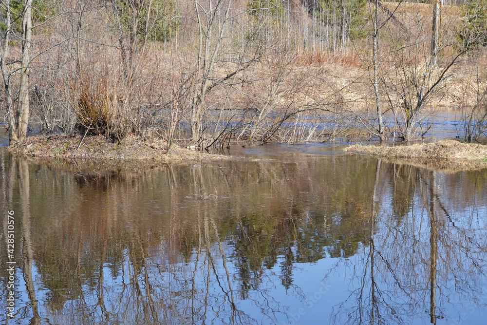 The river overflows in the spring after the snow melts. Flooded trees, dry bushes and grass in the spring season. The river overflows in the spring after the snow melts. Flooded trees, dry bushes and grass in the spring season.