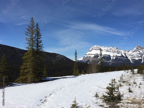 Spectacular view of the Icefield Parkway 