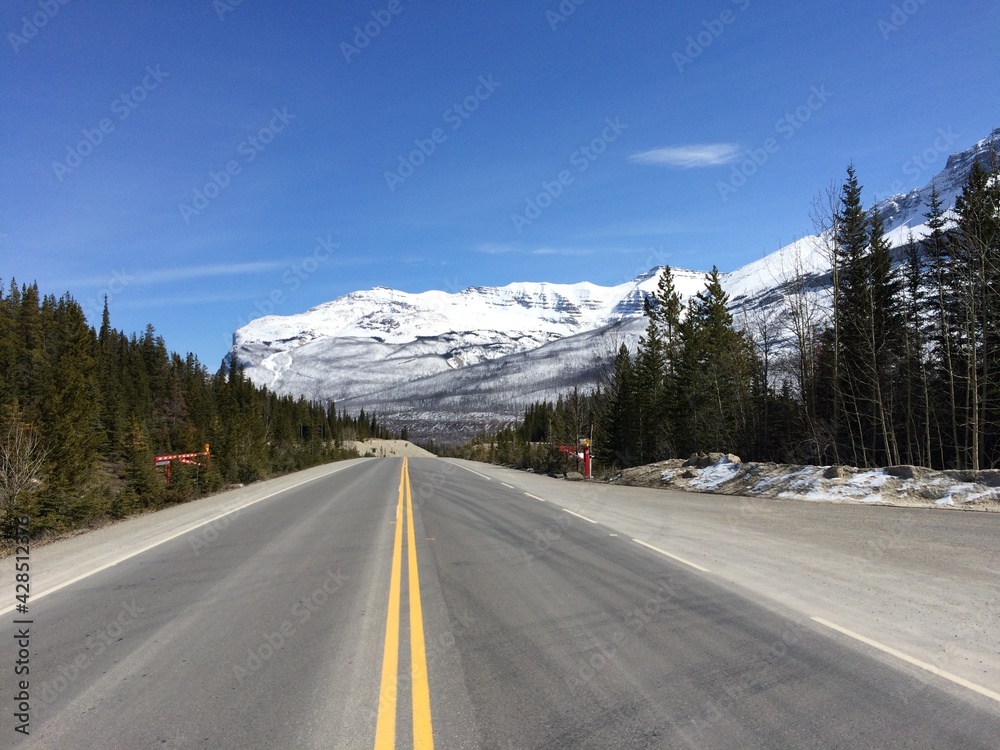 Fototapeta premium Spectacular view of the Icefield Parkway 