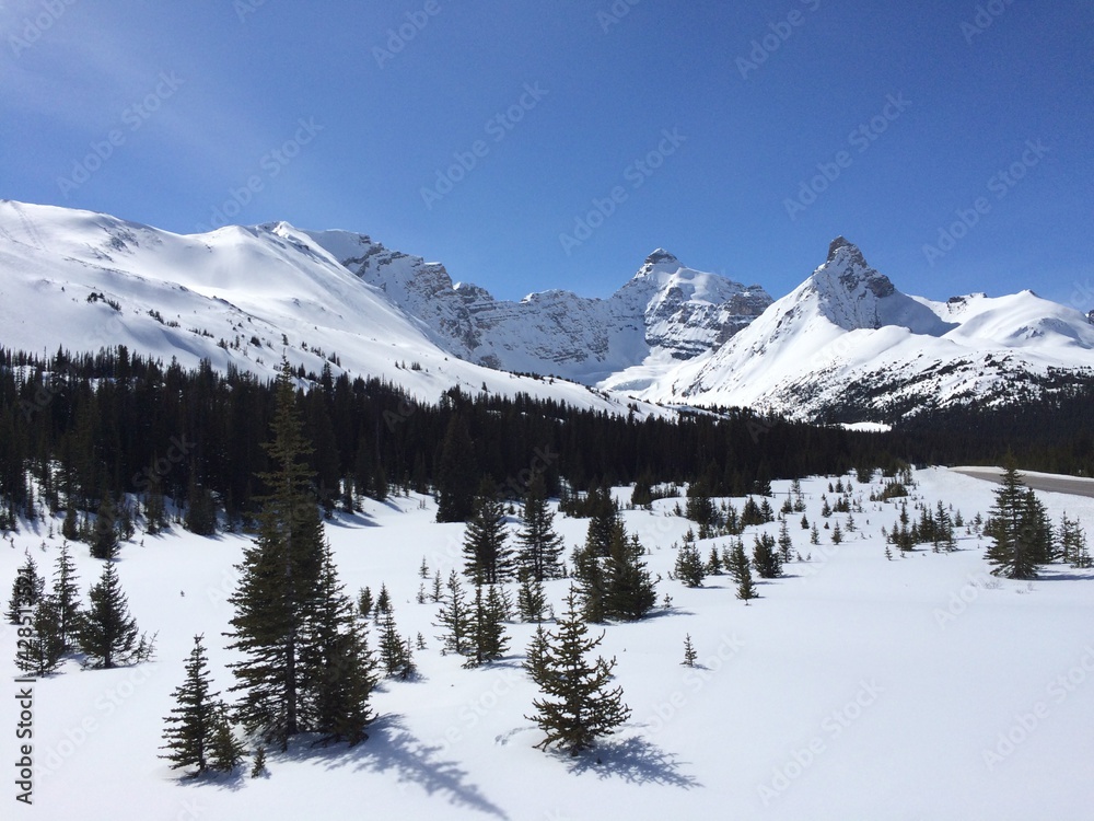 Spectacular view of the Icefield Parkway Spectacular view of the Icefield Parkway