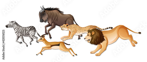 Group of wild African animals on white background