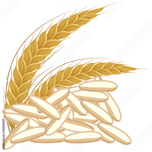 Simple rice grains on white background