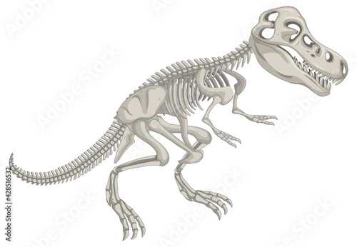Dinosaur skeleton on white background © blueringmedia