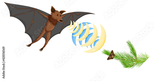 Echolocation in bats isolated on white background