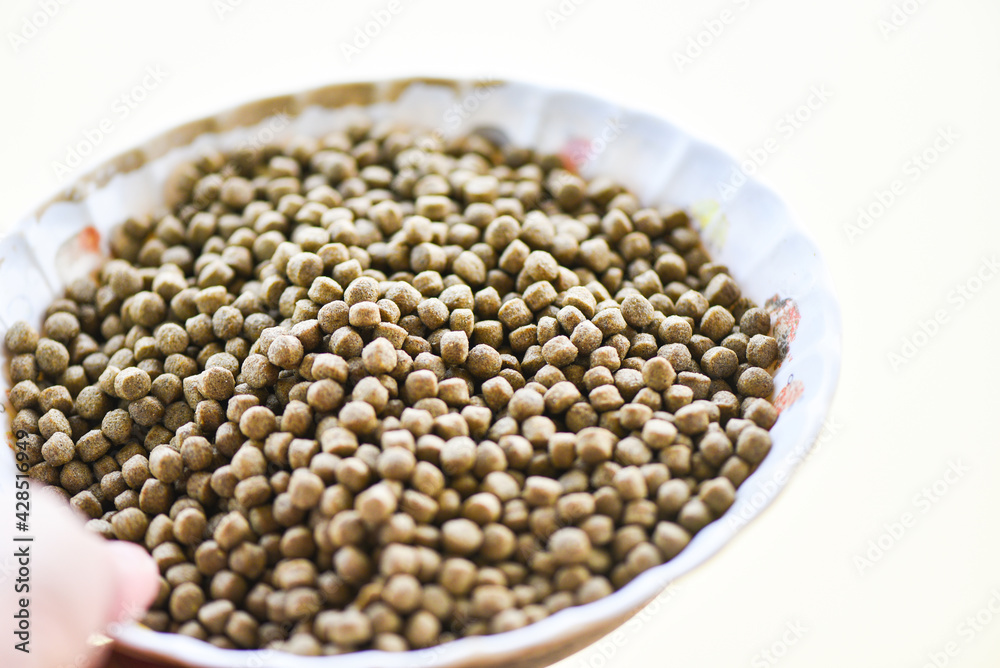 Feed the fish, Close up brown pellets feeds for fish on bowl Feed the fish, Close up brown pellets feeds for fish on bowl