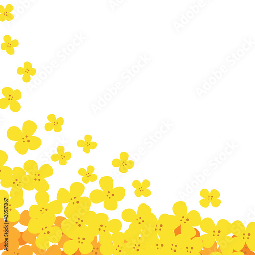 Flower square frame made of rapeseed. Hand-drawn floral border with copy space. Yellow cartoon canola plants, greeting card template, invitations, design element. All objects are isolated.