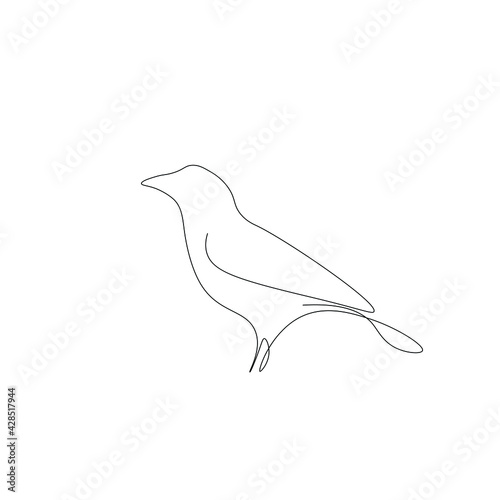 Bird one line drawing on white background