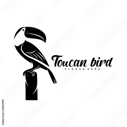 Toucan bird vector illustration design. Creative design