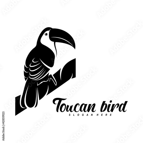 Toucan bird vector illustration design. Creative design