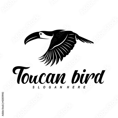 Toucan bird vector illustration design. Creative design