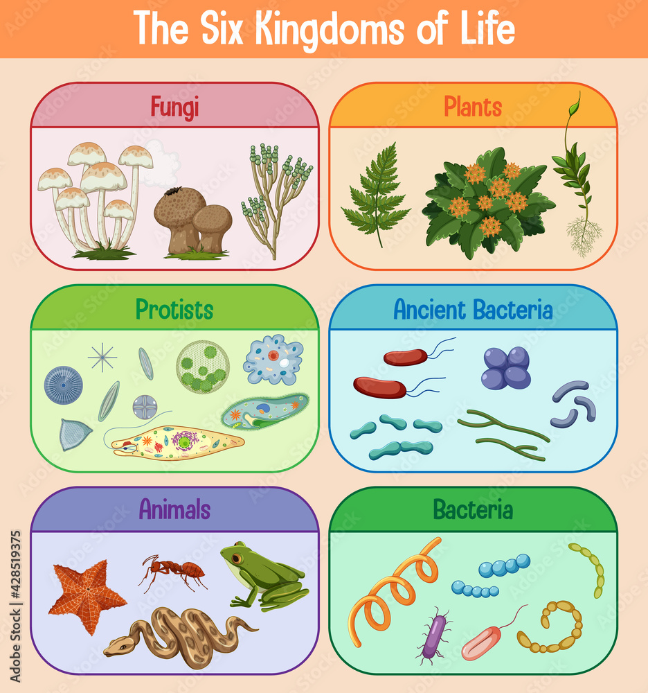 Science poster of six kingdoms of life