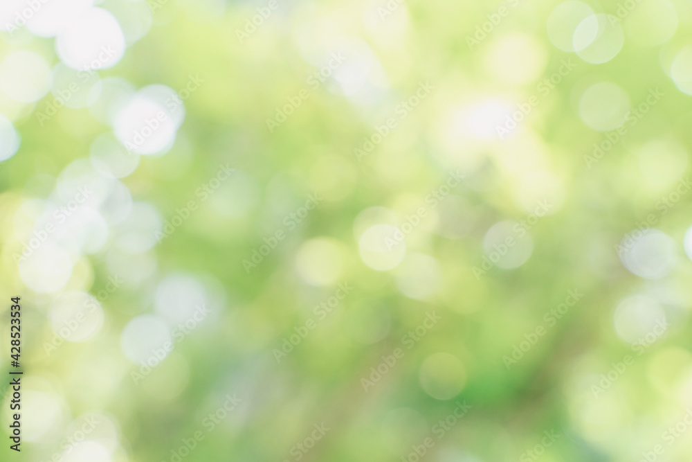 bokeh background,Amazing nature view of green leaf on blurred greenery background in garden and sunlight with copy space using as background natural green plants landscape, ecology, fresh wallpaper co bokeh background,Amazing nature view of green leaf on blurred greenery background in garden and sunlight with copy space using as background natural green plants landscape, ecology, fresh wallpaper co