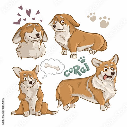 A selection of vector images of corgi dogs