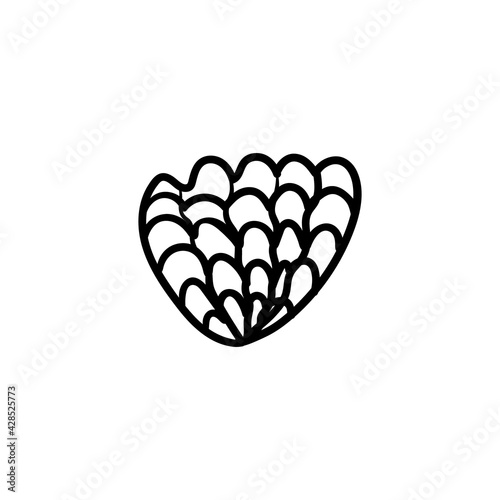 seashell bivalve scallop doodle. Black and white coloring. Cute monochrome print for printing on fabric, paper, wallpaper, packaging. Summer goods. Vector illustrations, drawings