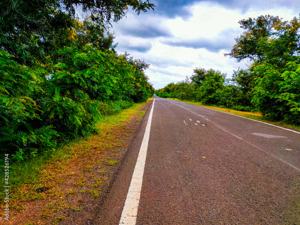 isolated tarmac road leading to deep forests from flat angle