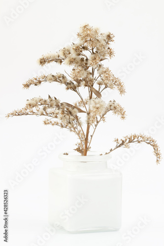 Small star shape dry flowers and white glass vase on light background vertical macro