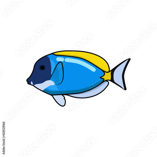 Doodle illustration botana fish vector graphics