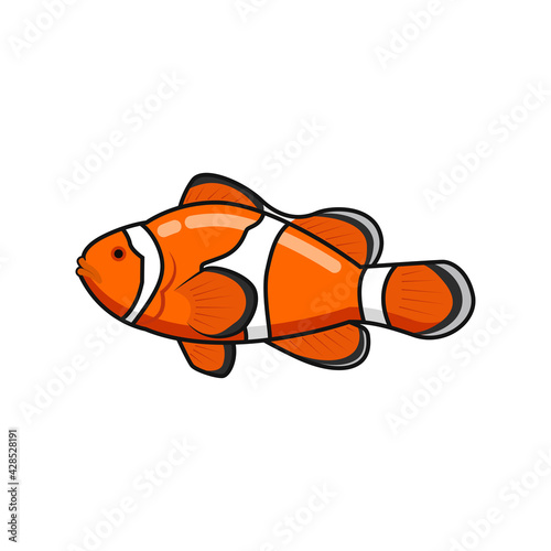 Doodle illustration clown fish vector graphics