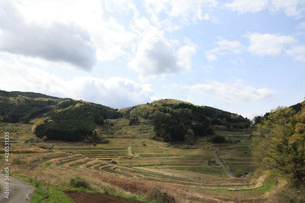 Naklejka premium 日本の岡山県美咲町の大垪和西の美しい棚田