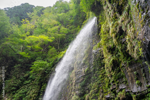 落差60mの滝 (日本 - 岐阜 - 阿弥陀ヶ滝)