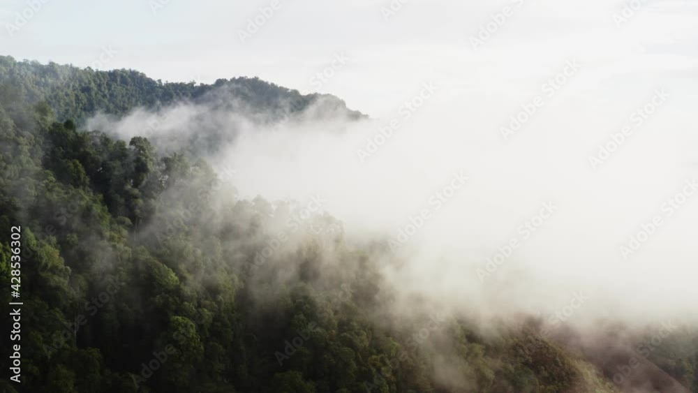 Aerial view of a rainforest in the lush green rain cloud cover tropical rain forest mountain during the rainy season in the northern Thailand.Doi phuka. Aerial view of a rainforest in the lush green rain cloud cover tropical rain forest mountain during the rainy season in the northern Thailand.Doi phuka.