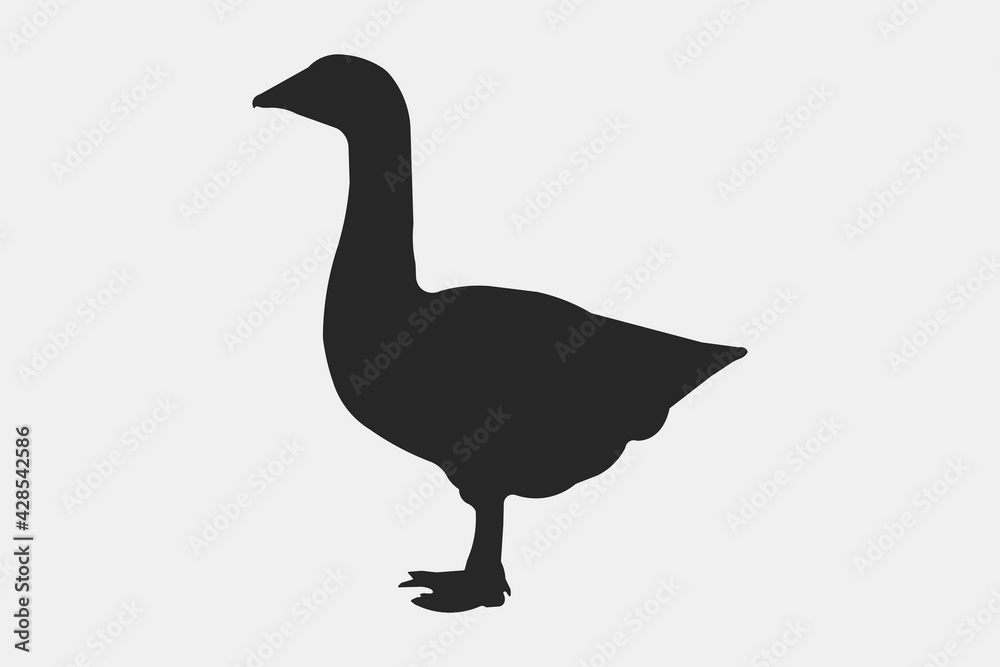 Vector goose silhouette. Goose silhouette icon isolated on white background.