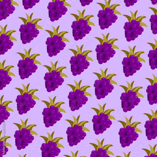 illustration pattern blackberry on purple background