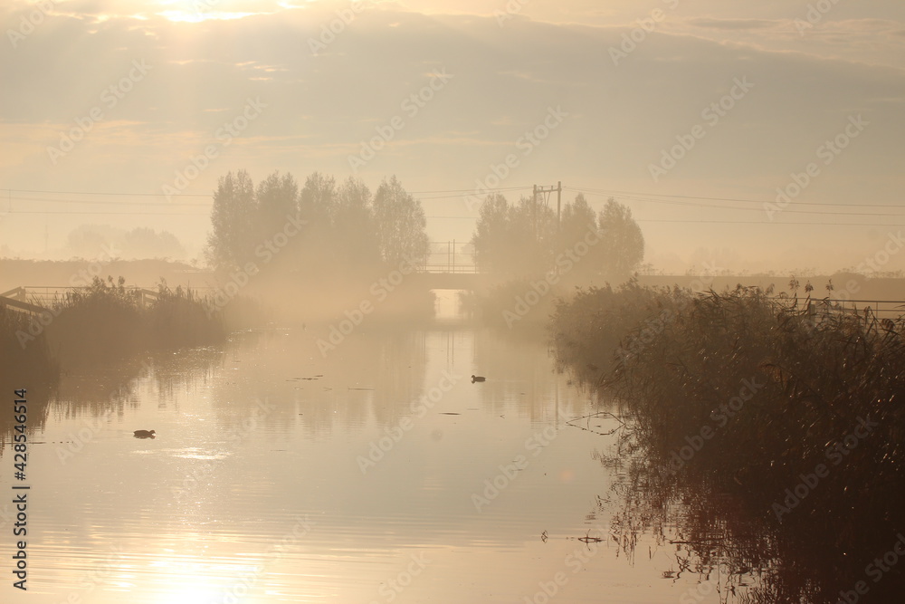 Fog over watering Vierde Tocht at the lowest polder in the Netherlands Zuidplaspolder between Gouda and Rotterdam Fog over watering Vierde Tocht at the lowest polder in the Netherlands Zuidplaspolder between Gouda and Rotterdam
